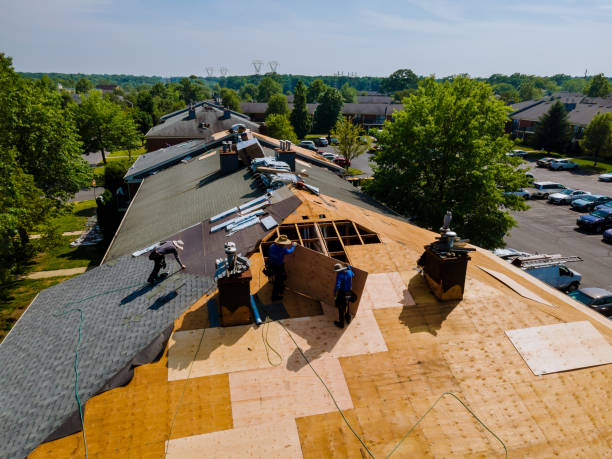 Trusted Roof Repair service in Fishers, NY - Brentwood Metal Roofing